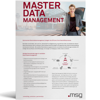 20220427 Msg Web Thumbnail Vorlage Masterdatamanagement Flyer